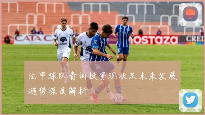 法甲球队青训投资现状及未来发展趋势深度解析