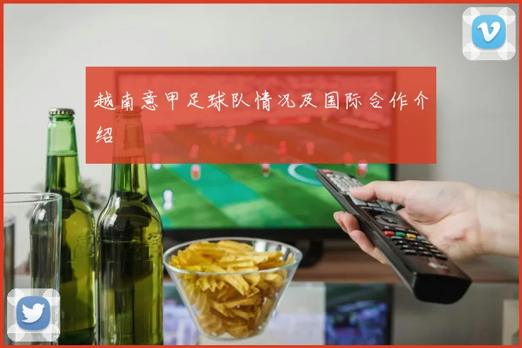 越南意甲足球队情况及国际合作介绍