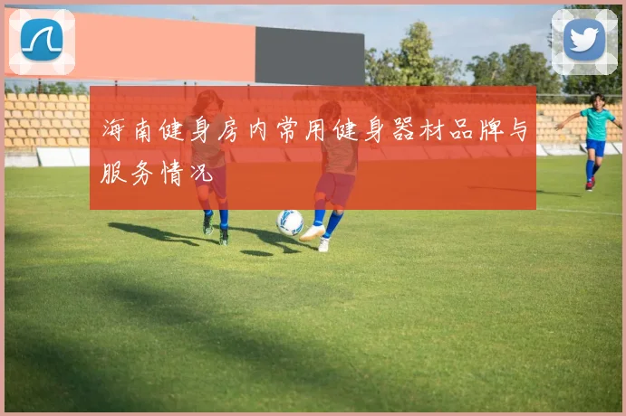 海南健身房内常用健身器材品牌与服务情况