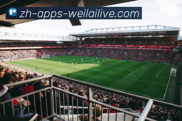 纬来体育APP 封面图